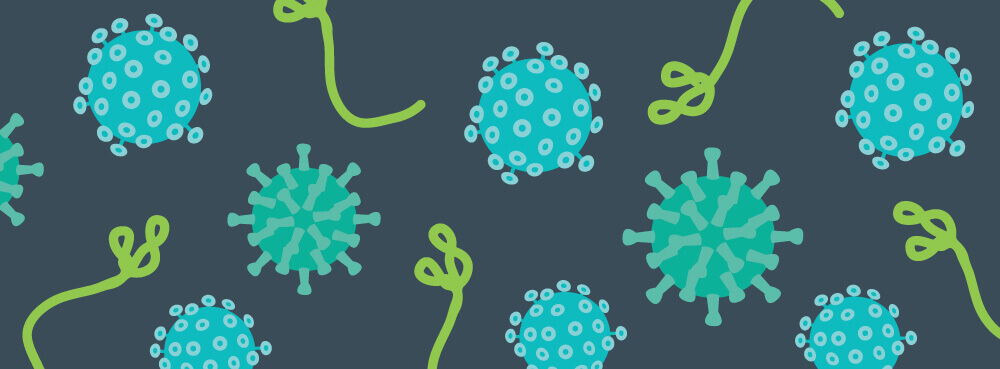 Blog Header Diseases Improper Disposal