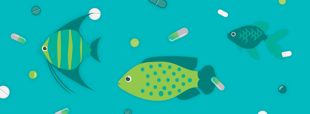 Blog Header Pharma Waterways