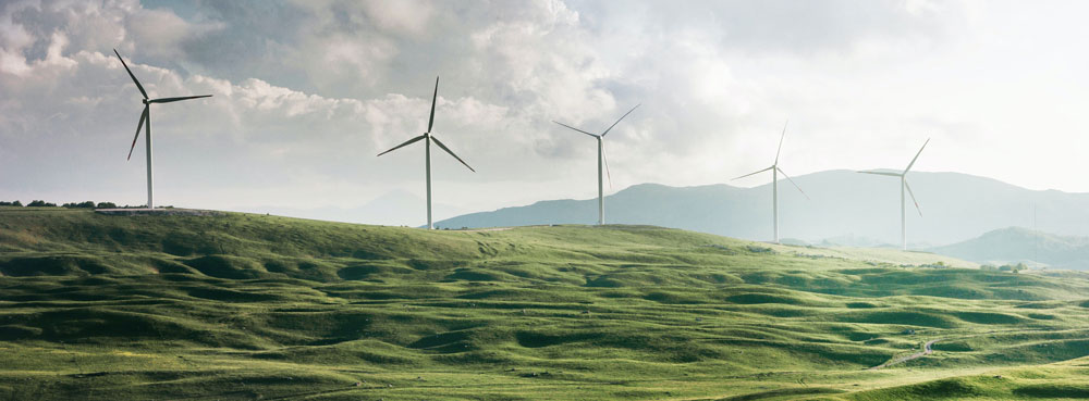 blogheader sustainability 1