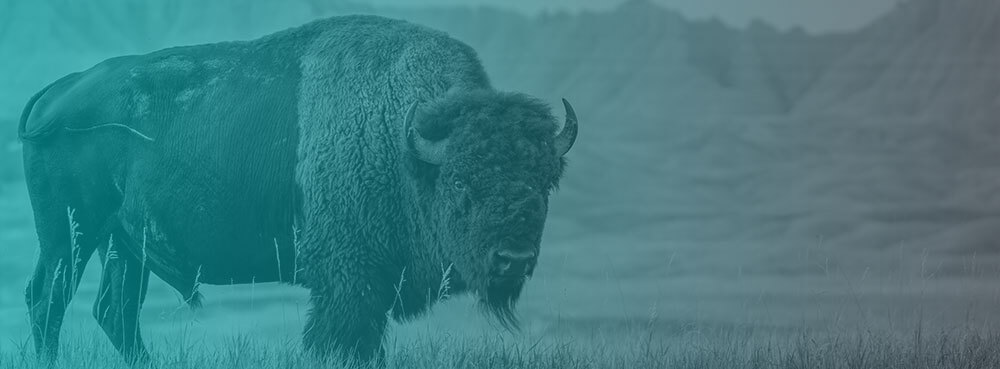 DANUSB221007 Guide to North Dakota Medical Waste Regulations