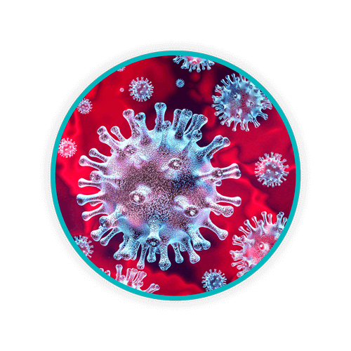 Blog Body Coronavirus Micro WEB