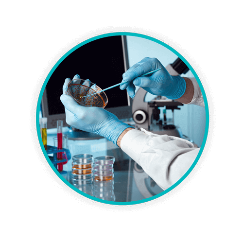 Blog Body Culture Petri Dishes WEB