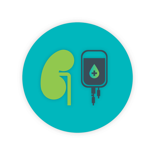 Blog Body Kidney Blood WEB