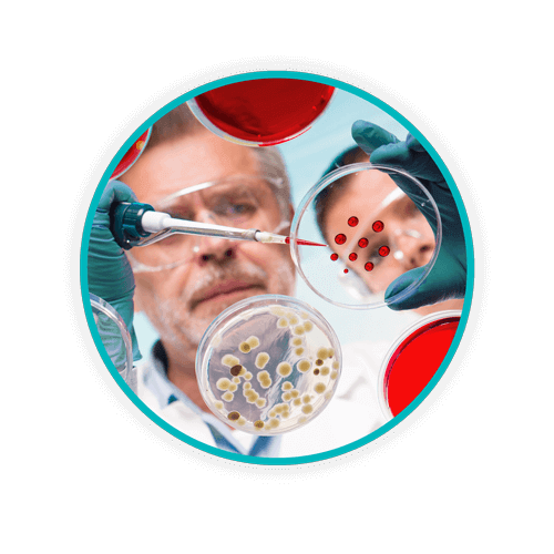 Blog Body Petri Cultures WEB