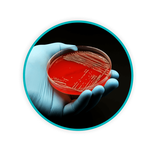 Blog Circle BPP DANUSB241011 WEB