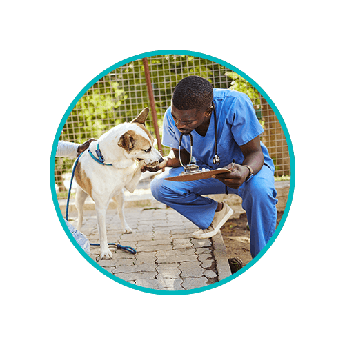 Blog Circle Image Veterinary Clinic Waste Guide Clipboard DANUSB231067 WEB