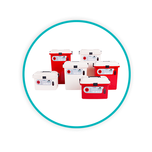 Blog CircleImage WhatIsASharpsContainer 500x500 DANUSB241035