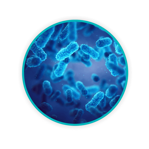 Circle blue infection LR