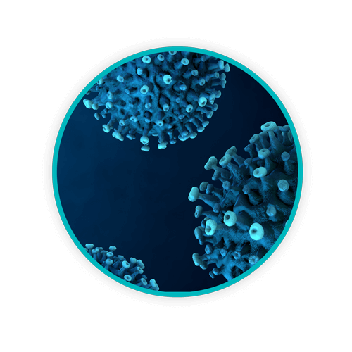 Circle Infectious LR