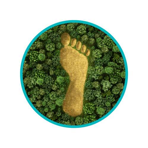 DANUKB231003 WEB Circle Image Eco Footprint