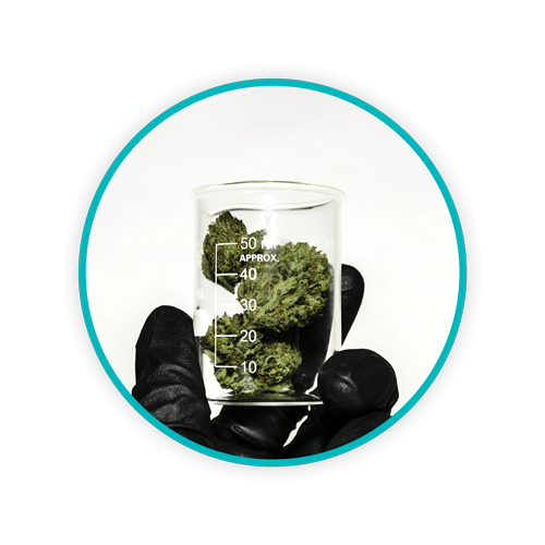 DANUSB211110 WEB Blog Body Medical Waste in Medspas