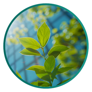 Jan BlogGraphics ClinicalChecklist 04